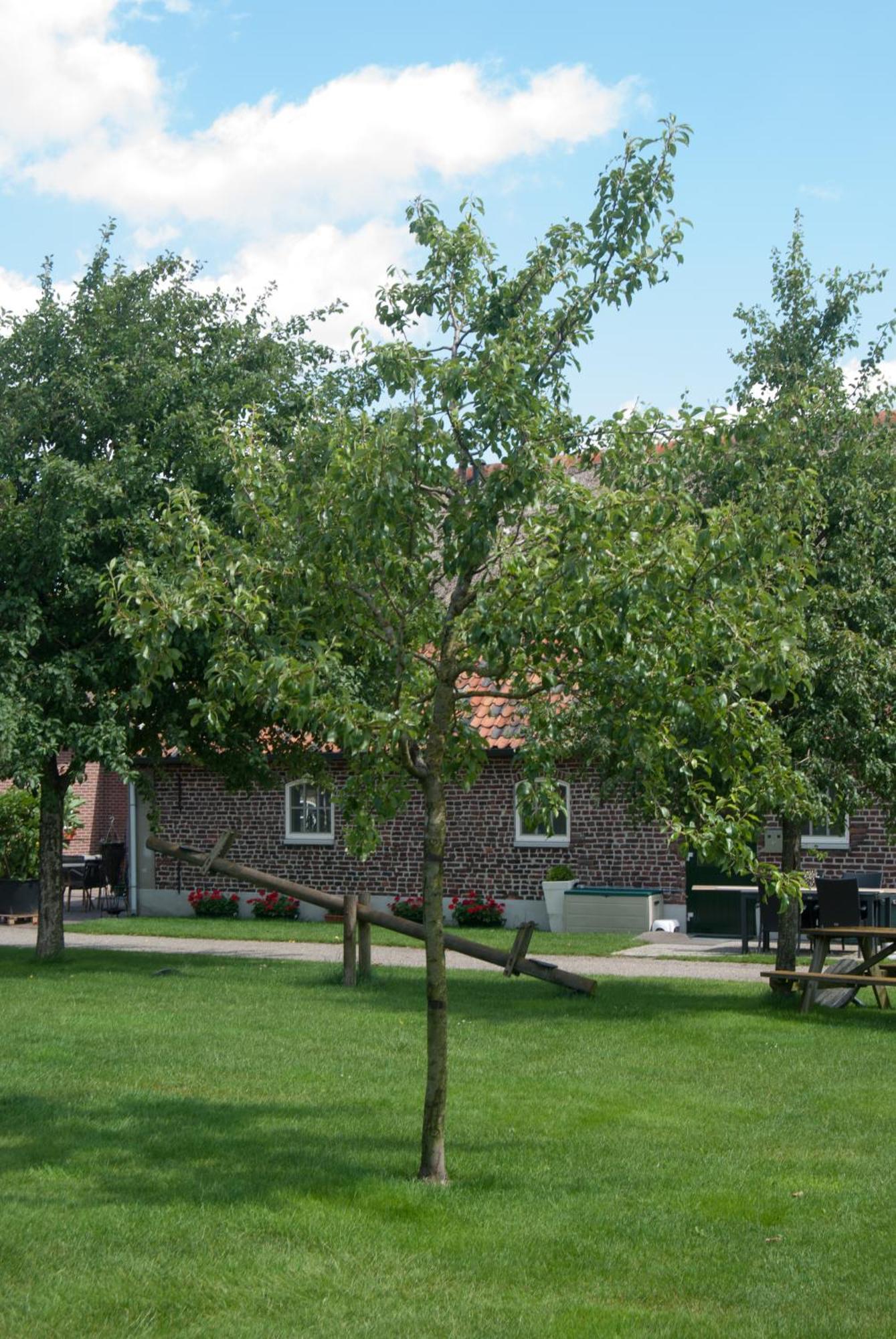 De Martiene Plats - Bed & Breakfast Merselo Exterior photo