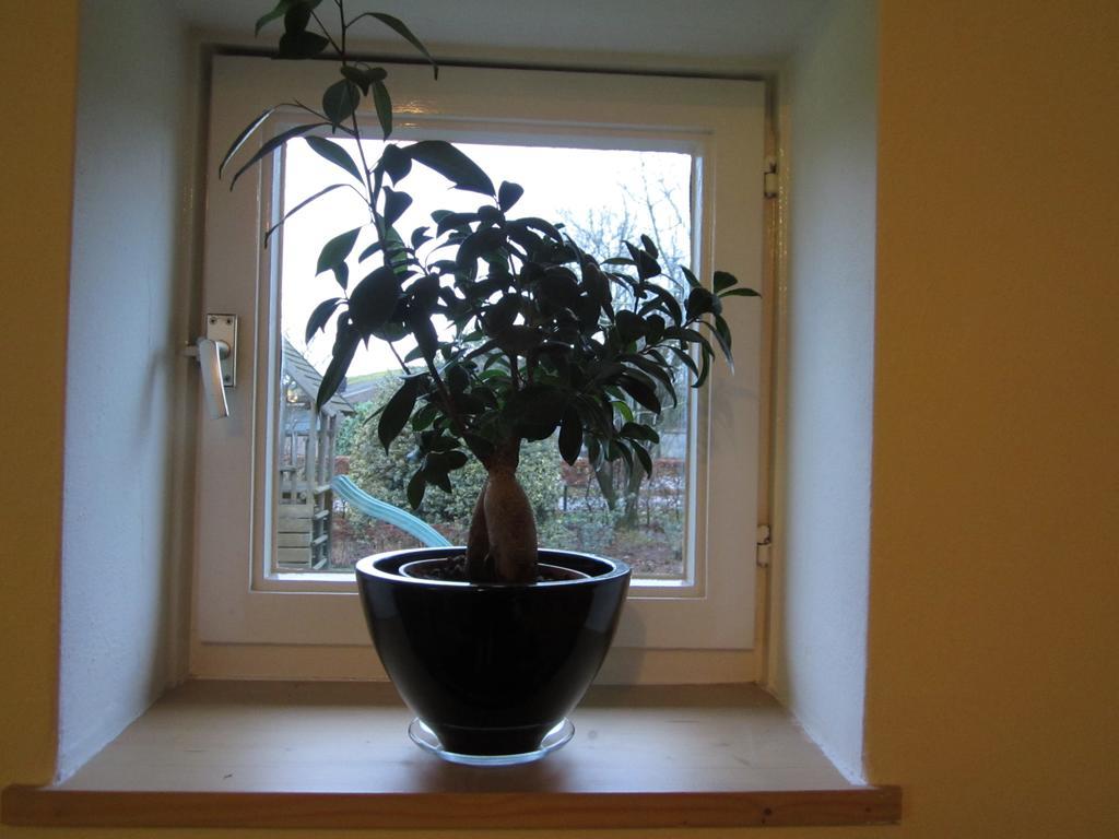 De Martiene Plats - Bed & Breakfast Merselo Room photo